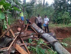 Istirahat di Gubuk, Warga Kandangserang Meninggal Dunia Tertimpa Pohon