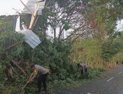 Angin Kencang di Sragi Robohkan Kandang Ayam dan Sebabkan Pohon Tumbang