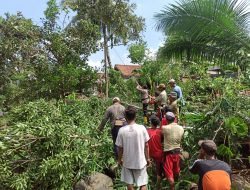 Antisipasi Pohon Tumbang, Bhabinkamtibmas Bersama Warga Gotong Royong Bersihkan Pohon yang Rawan Roboh