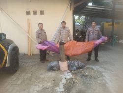 Patroli Polsek Wiradesa Amankan Balon Udara yang Siap Terbang