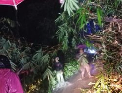 Longsor di Paninggaran Akibatkan Dapuran Pohon Bambu Terseret dan Menutup Jalan