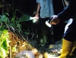 Diduga Jatuh Dari Pohon, Warga Kandangserang Ditemukan Meninggal