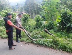 Warga Kandangserang Meninggal Dunia, Tertimpa Batang Pohon Pete yang Tumbang