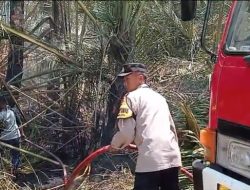 Area Tanaman Sagu Tidak Produktif di Pekalongan Terbakar, Diduga Akibat Puntung Rokok