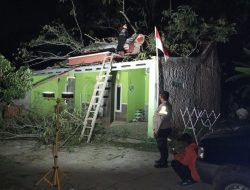 Pohon Sengon yang Lapuk Timpa Rumah Warga, Akibatkan 5 Orang Luka-Luka