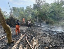 Gerak Cepat Polisi dan Petugas Damkar Padamkan Kobaran Api di Area Lahan Kosong