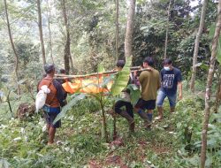 Sesosok Mayat Tanpa Identitas Ditemukan di Hutan Ndayugo, Pekalongan