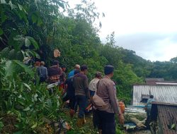  Pohon Tumbang di Lebak barang Pekalongan Timpa Dua Rumah Warga