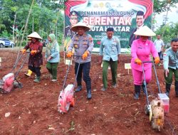 Dukung Swasembada Pangan, Polres Pekalongan Laksanakan Penanaman Jagung Serentak 1 Juta Hektar