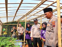 Kapolres Pekalongan Kunjungi Kebun Tanaman Bergizi di Desa Bukur, Dukung Asta Cita di Bidang ketahanan Pangan