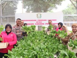 Launching Penguatan Program Pekarangan Pangan Lestari, Polres Pekalongan Tanam Sayur dan Budidaya Ikan