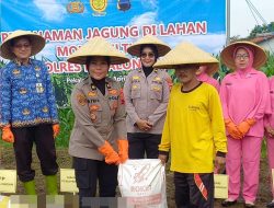 Dukung Ketahanan Pangan Nasional, Polres Pekalongan dan BPP Kedungwuni Bersinergi Tanam Jagung