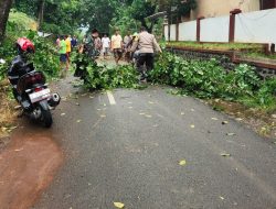 Sinergitas Bhabinkamtibmas dan Babinsa Bersama Warga Buka Akses Jalan yang Tertutup Akibat Pohon Tumbang