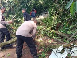 Polri bersama Warga Evakuasi Pohon Tumbang di Lebakbarang