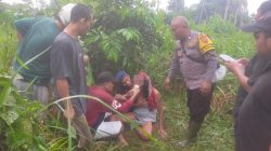 Polisi dan Warga Temukan Warga yang Hilang, Tersesat di Area Perkebunan