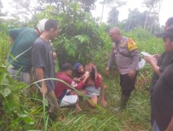 Polisi dan Warga Temukan Warga yang Hilang, Tersesat di Area Perkebunan