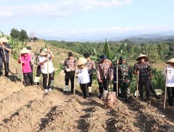 Dukung Program Swasembada Pangan 2025, Polres Pekalongan dan Jajarannya Tanam Jagung Serentak