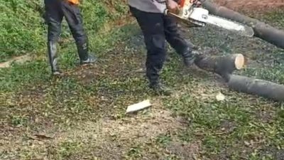 Sinergitas TNI-Polri dan Warga Evakuasi Pohon Tumbang di Karanganyar, Pekalongan