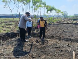 Kebersamaan di Tengah Lahan Jagung, Polisi dan Warga Kajen Tanam Harapan Bersama