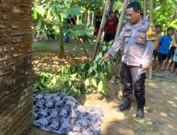 Warga Desa Menjangan Ditemukan Meninggal di Belakang Rumah, Diduga Jatuh Saat Petik Nangka