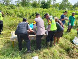 Hendak Melangsir Bibit, Buruh Ditemukan Meninggal Mendadak di Sawah Karanganyar