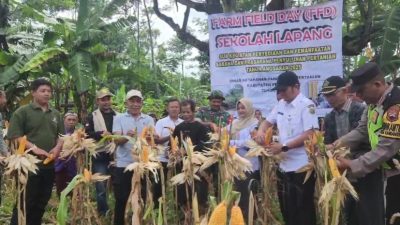 Dukungan Lintas Sektor: Bhabinkamtibmas Dampingi Petani Kelompok Silo Lambur Panen Jagung Varietas Unggul