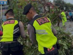 Dihantam Angin Kencang, Dahan Trembesi Tumbang Tutup Jalan Raya Bojong, Polisi Gerak Cepat Evakuasi