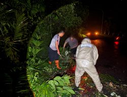 Longsor Skala Kecil Terjang Linggo Asri Pekalongan, Polisi dan Warga Bahu-membahu Evakuasi