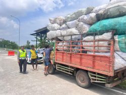 Dua Hari Ops Keselamatan, 230 Pengendara di Pekalongan Kena Tilang, 165 Lainnya Ditegur!